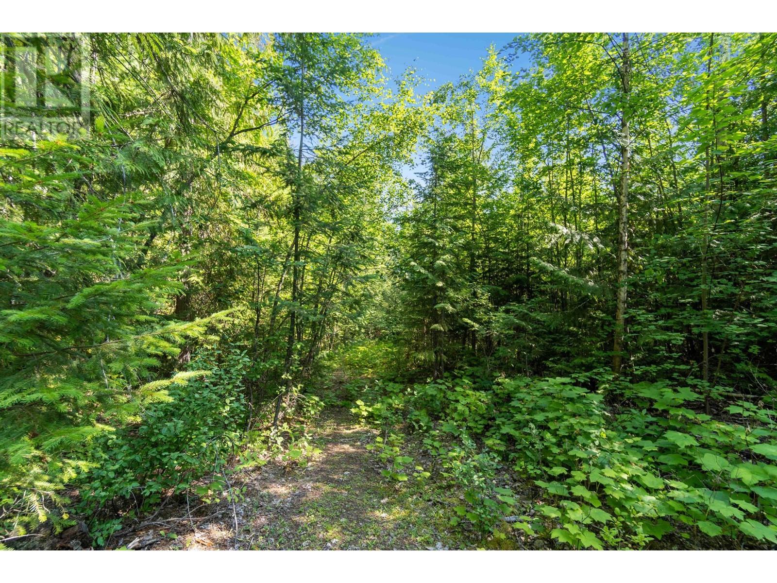 Photo 13 of 0 Sunnybrae Canoe Point Road, Tappen BC