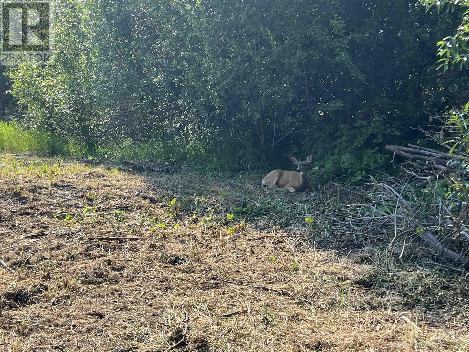 LOT A&B NORWOOD ROAD, Quesnel