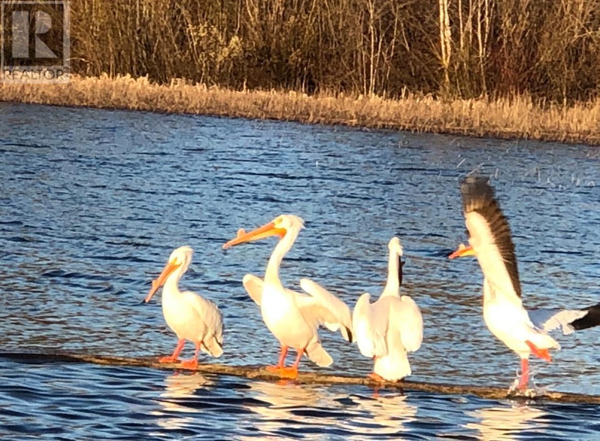 LOT A&B NORWOOD ROAD, Quesnel