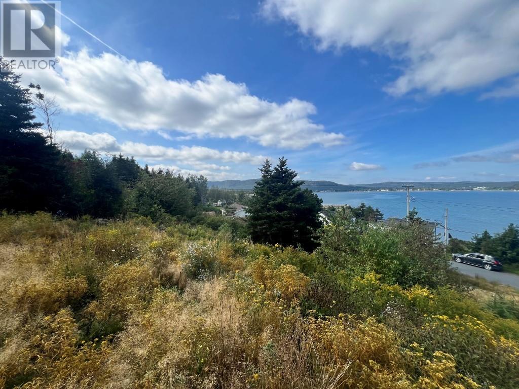 Photo 10 of 98 100 Salmon Cove Road, South River NL