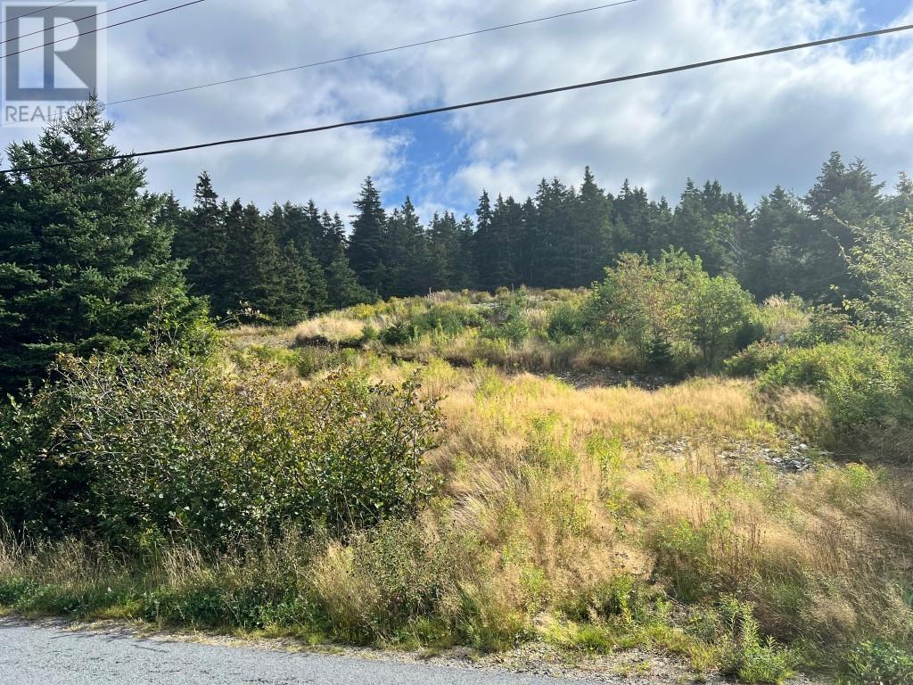 Photo 4 of 98 100 Salmon Cove Road, South River NL