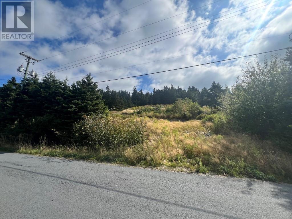 Photo 5 of 98 100 Salmon Cove Road, South River NL