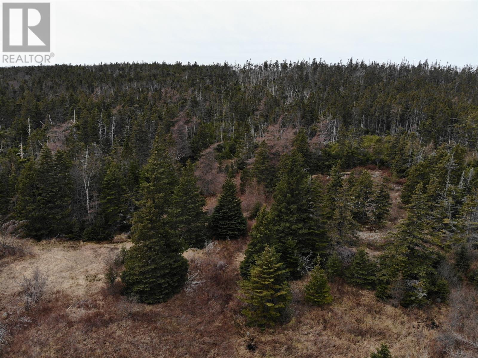 Photo 1 of 76 84 Conception Bay Highway, Holyrood NL