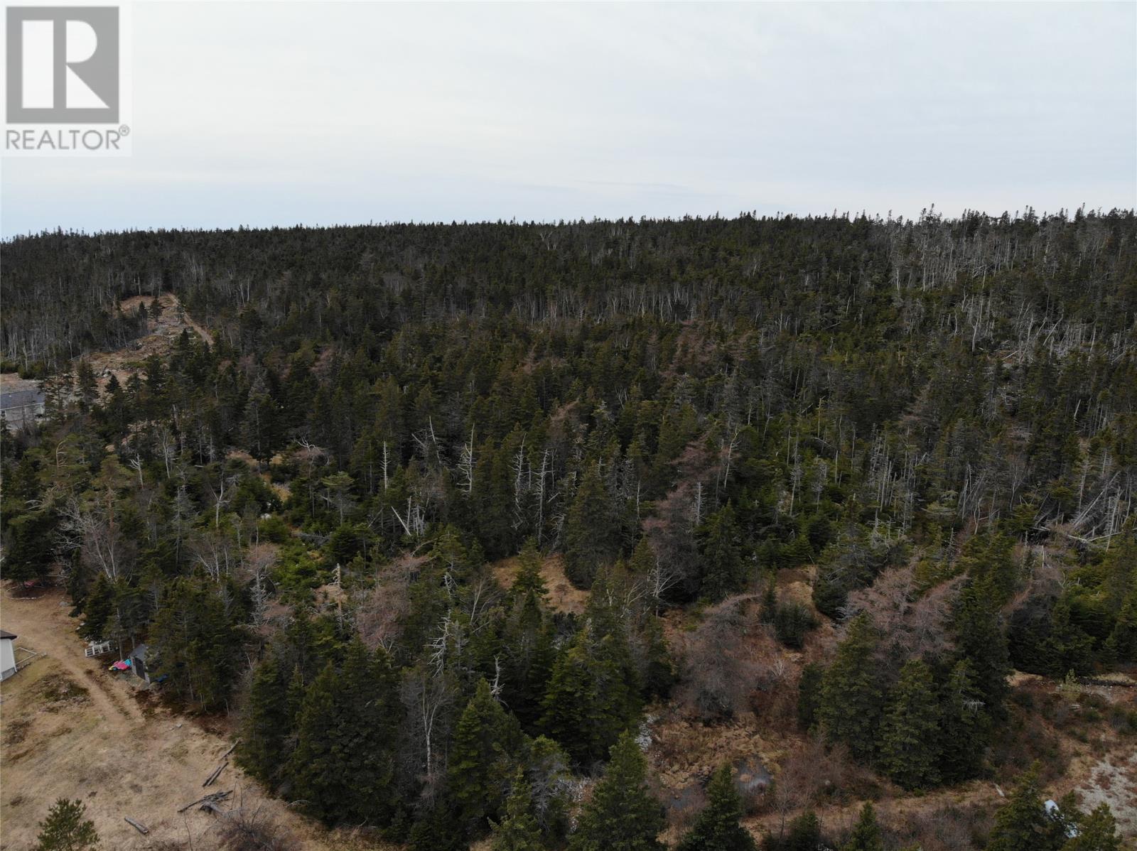 Photo 10 of 76 84 Conception Bay Highway, Holyrood NL