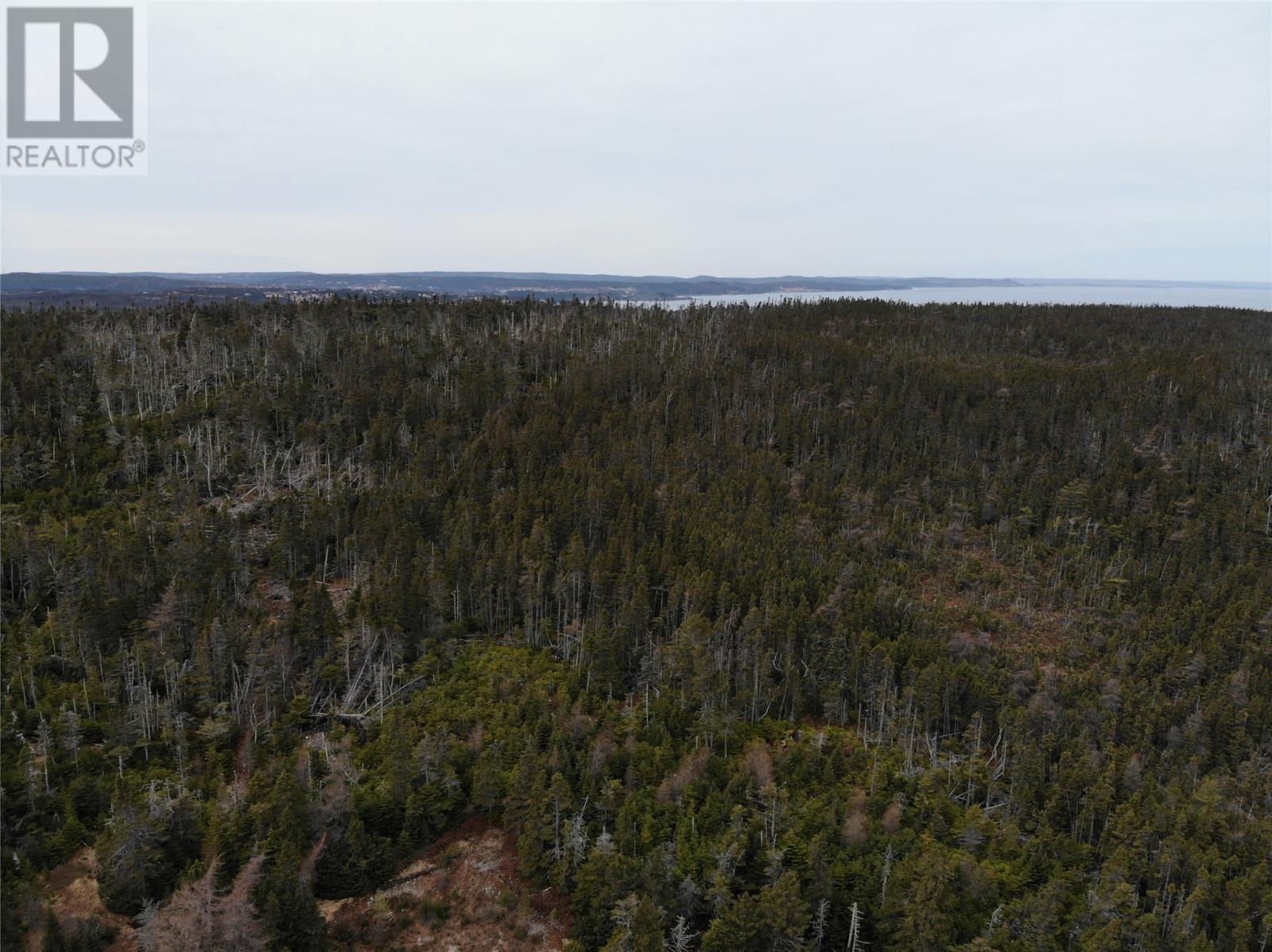 Photo 11 of 76 84 Conception Bay Highway, Holyrood NL