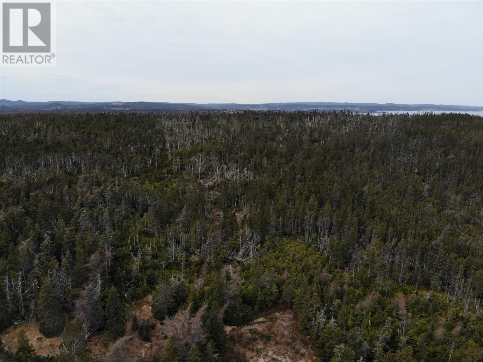 Photo 15 of 76 84 Conception Bay Highway, Holyrood NL