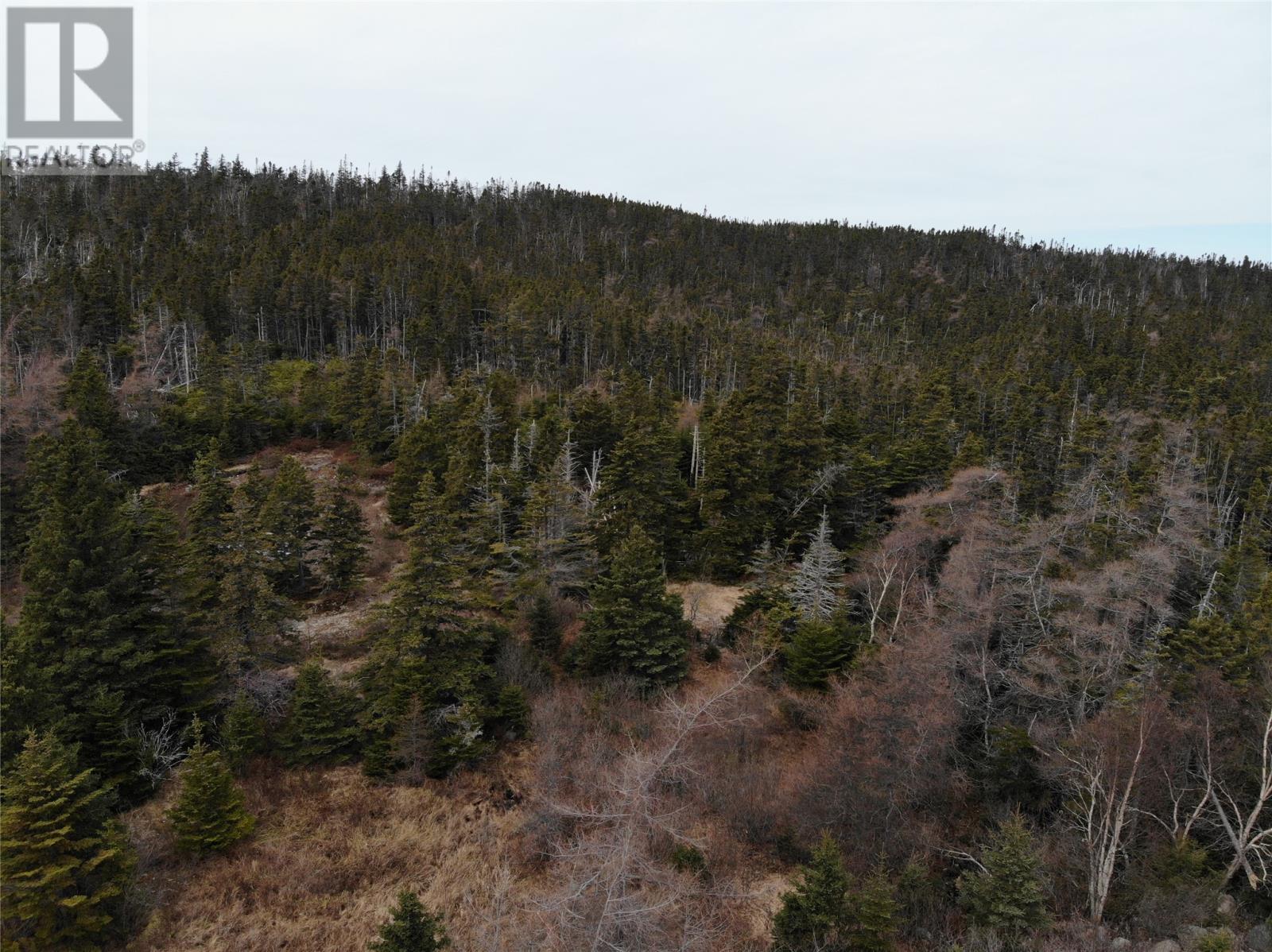 Photo 16 of 76 84 Conception Bay Highway, Holyrood NL
