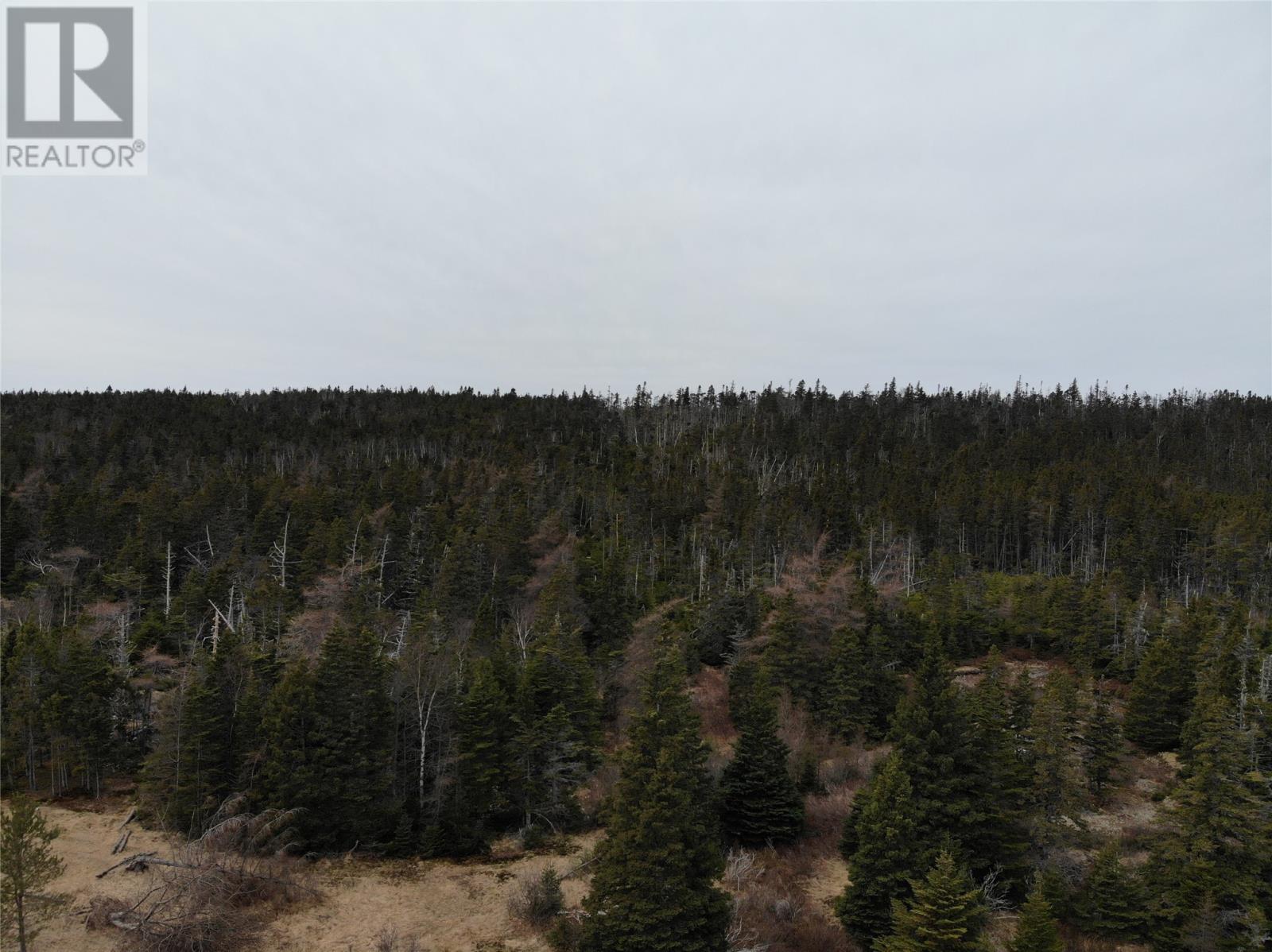 Photo 4 of 76 84 Conception Bay Highway, Holyrood NL