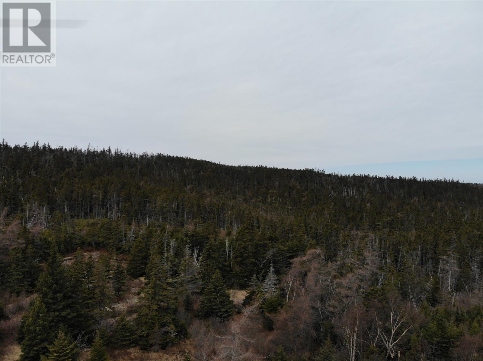 Photo 5 of 76 84 Conception Bay Highway, Holyrood NL