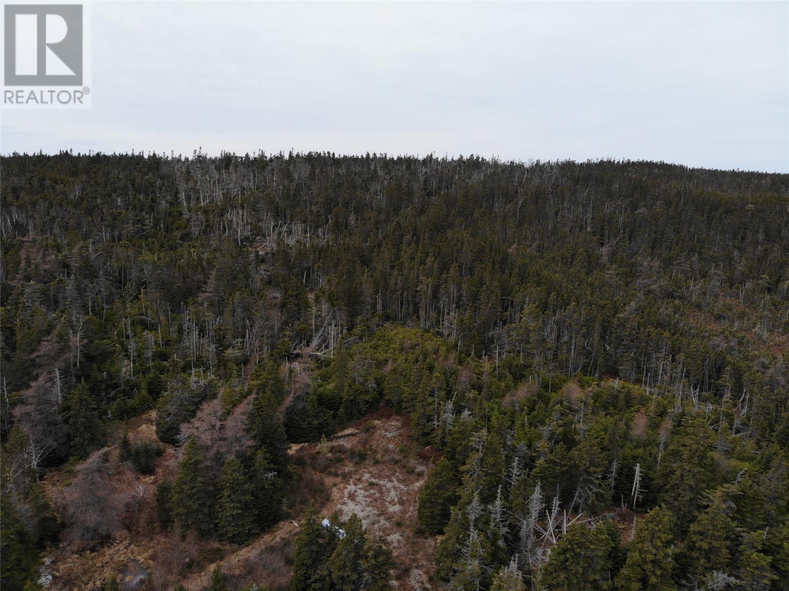 Photo 6 of 76 84 Conception Bay Highway, Holyrood NL