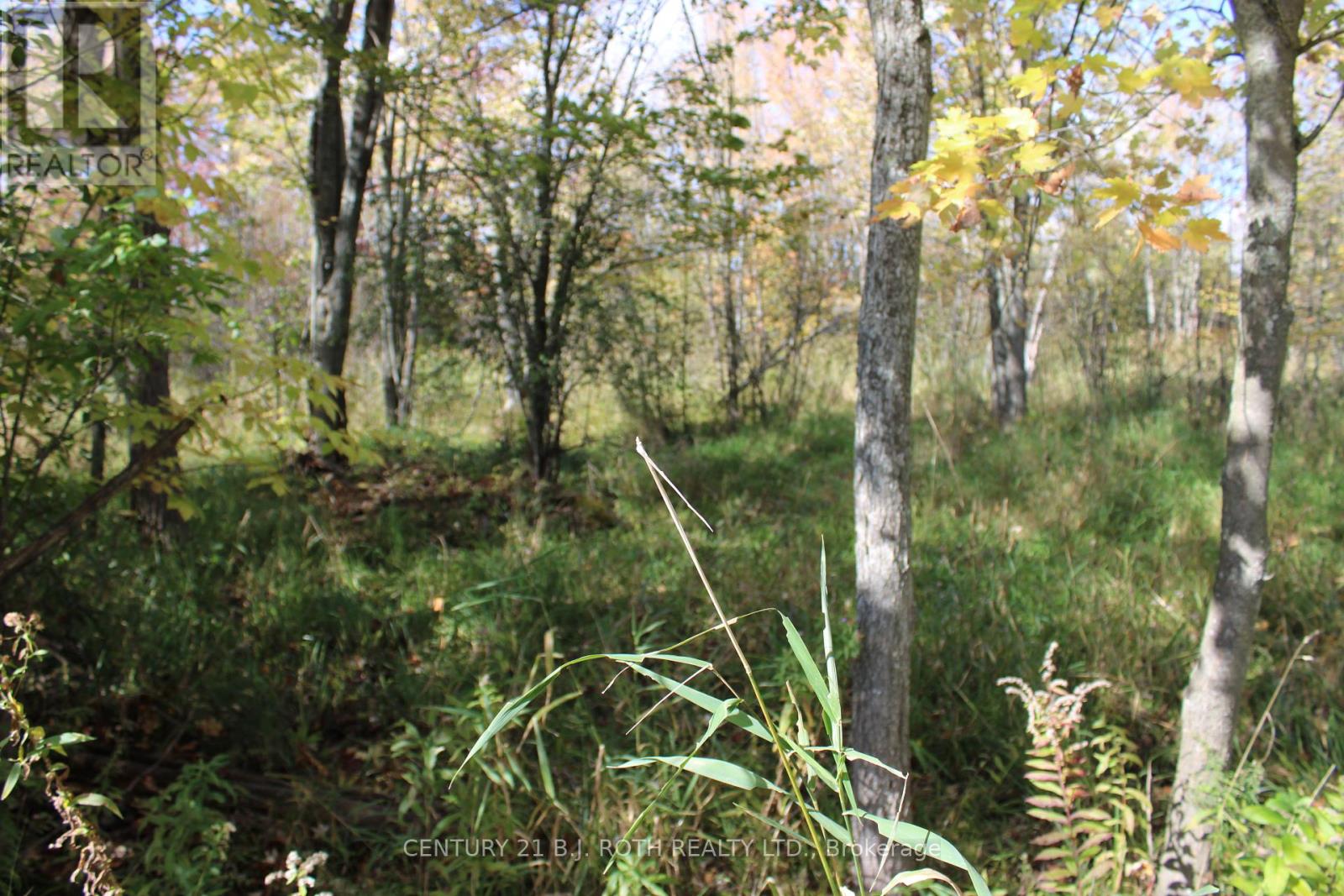 Photo 12 of 388 Woodland Drive, Oromedonte ON