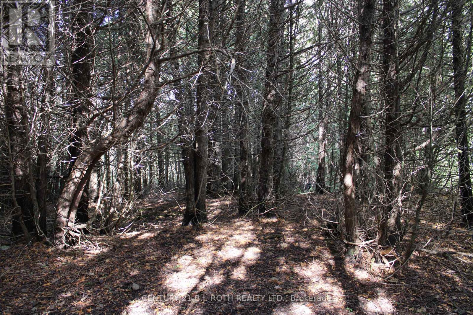 Photo 11 of 388 Woodland Drive, Oromedonte ON