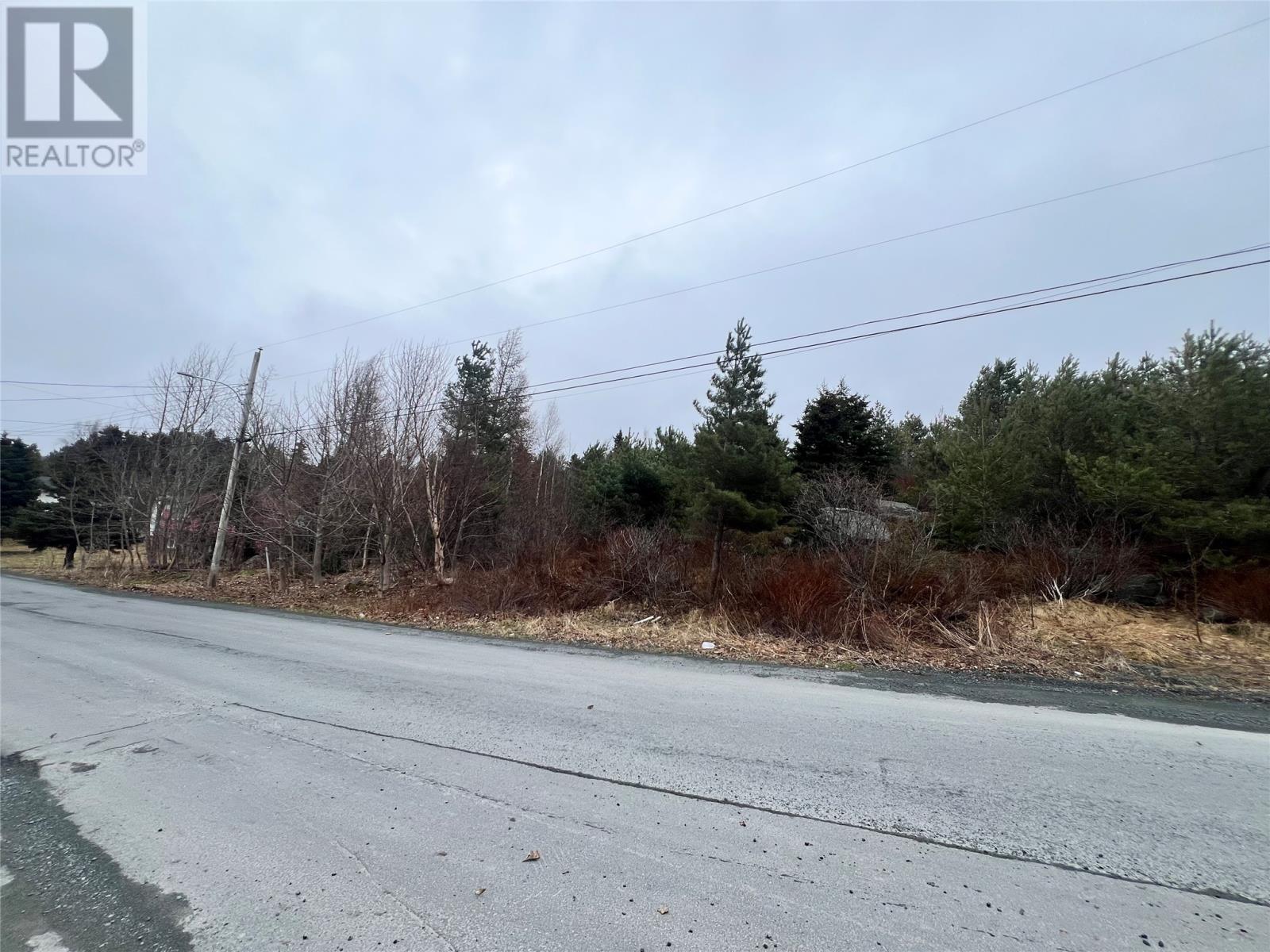 Photo 3 of 79 81 Mint Cove Pond Road N, Spaniards Bay NL