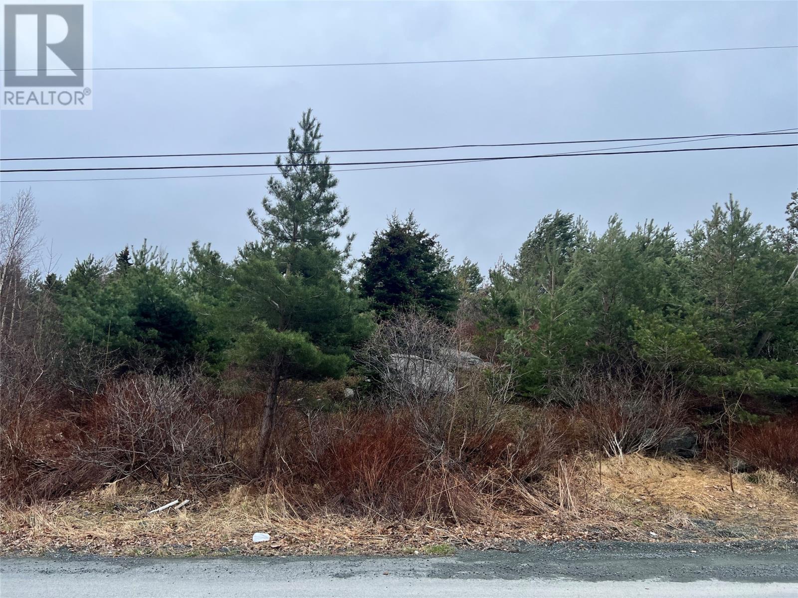 Photo 4 of 79 81 Mint Cove Pond Road N, Spaniards Bay NL