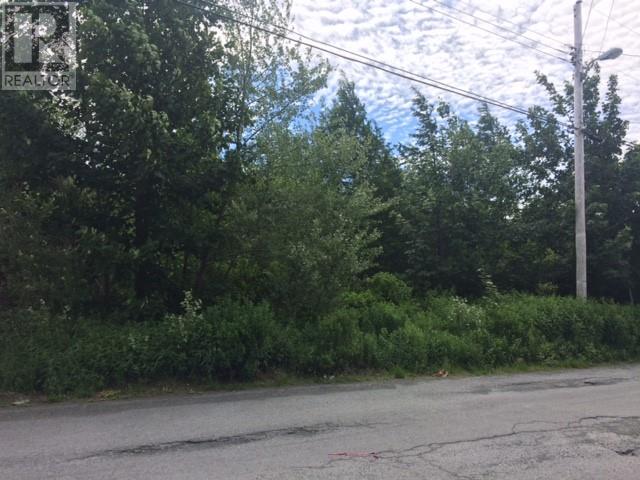Photo 5 of 79 81 Mint Cove Pond Road N, Spaniards Bay NL