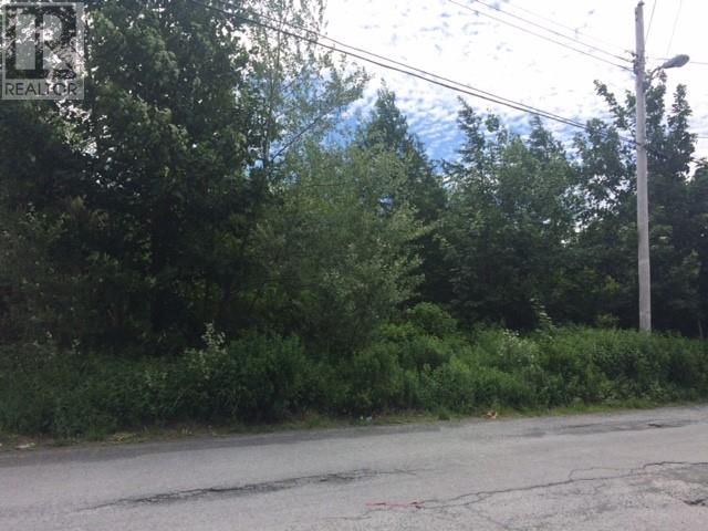 Photo 6 of 79 81 Mint Cove Pond Road N, Spaniards Bay NL
