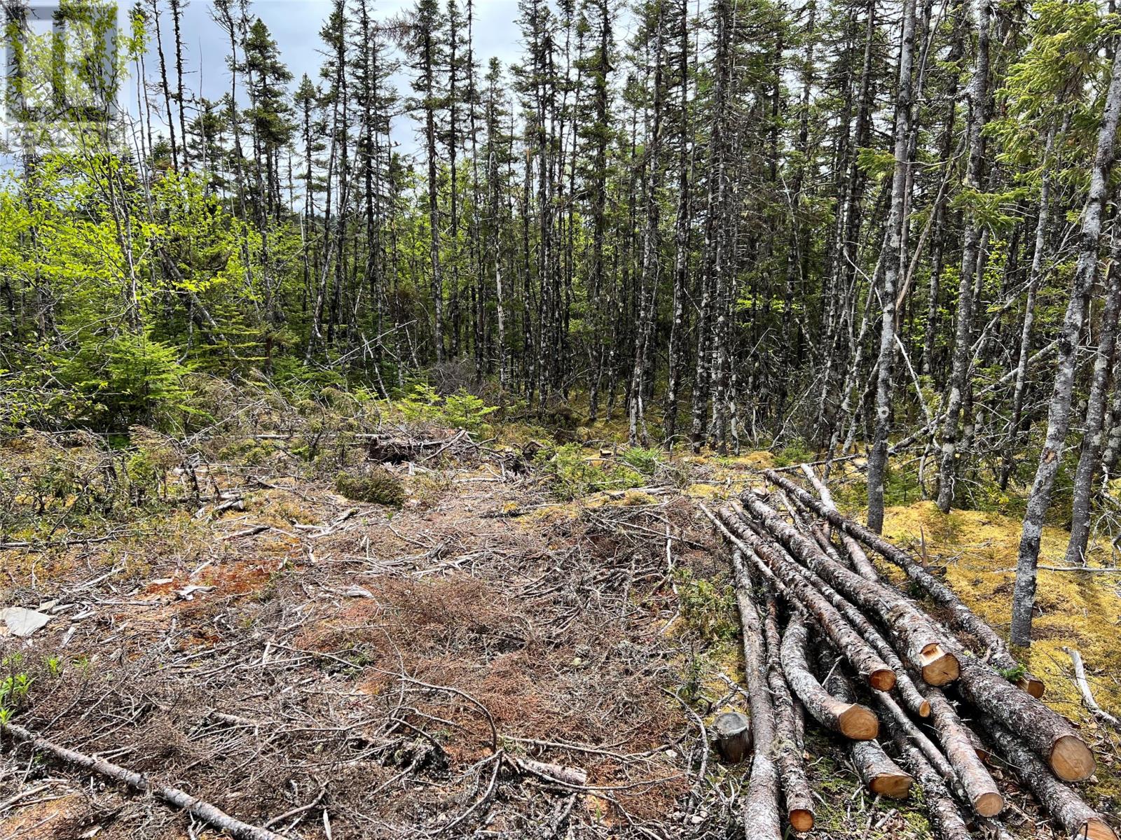 Photo 5 of Lot 22 Second Pond, Shearstown NL