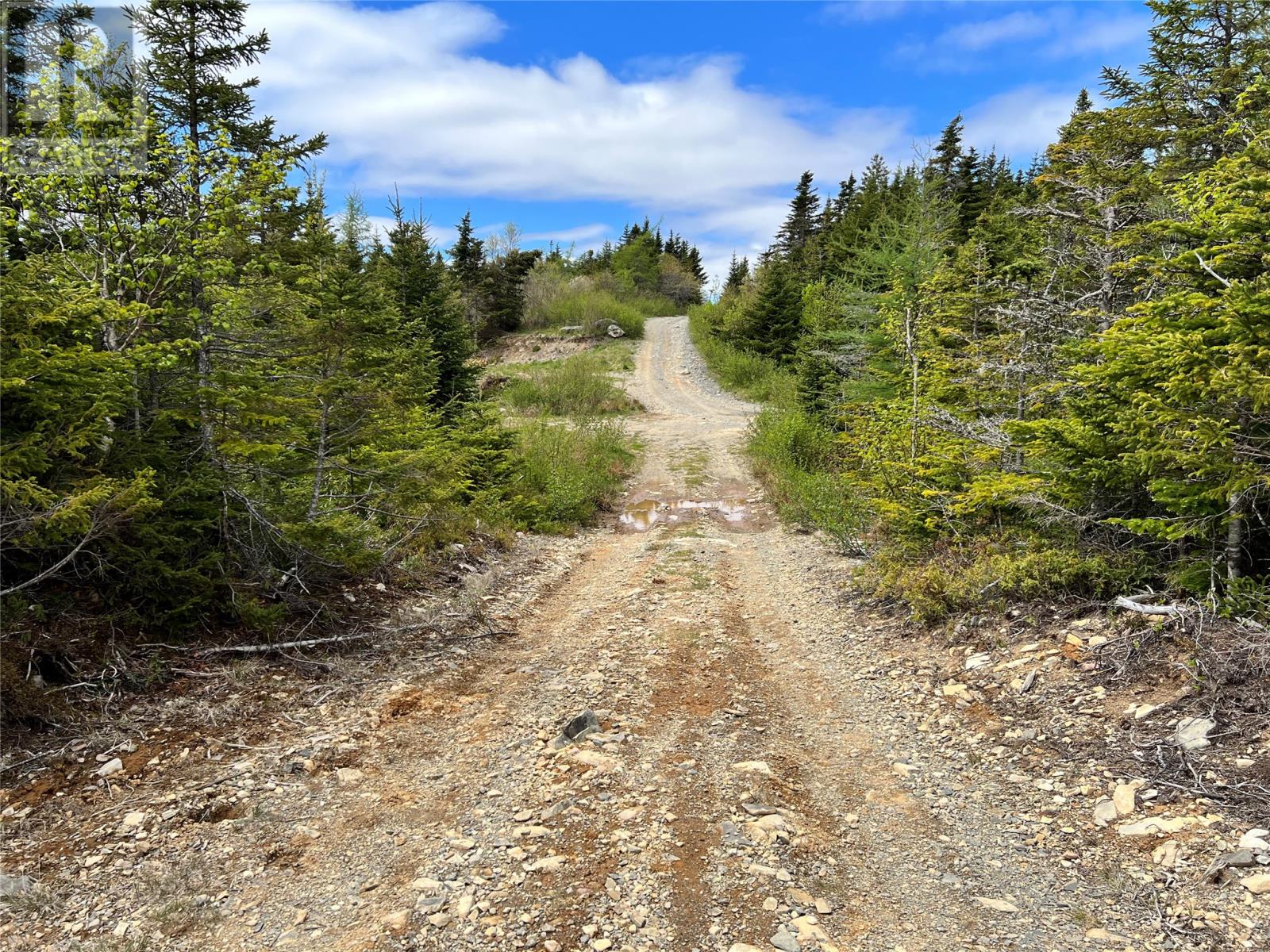 Photo 6 of Lot 22 Second Pond, Shearstown NL
