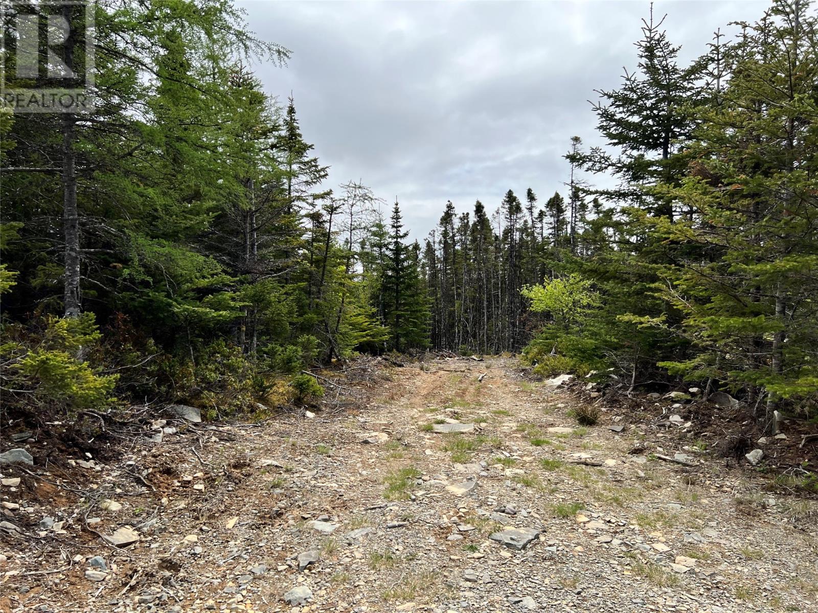 Photo 8 of Lot 22 Second Pond, Shearstown NL