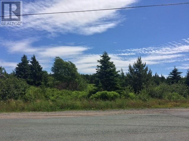 Photo 6 of 76 78 Seaforest Drive, Cupids NL