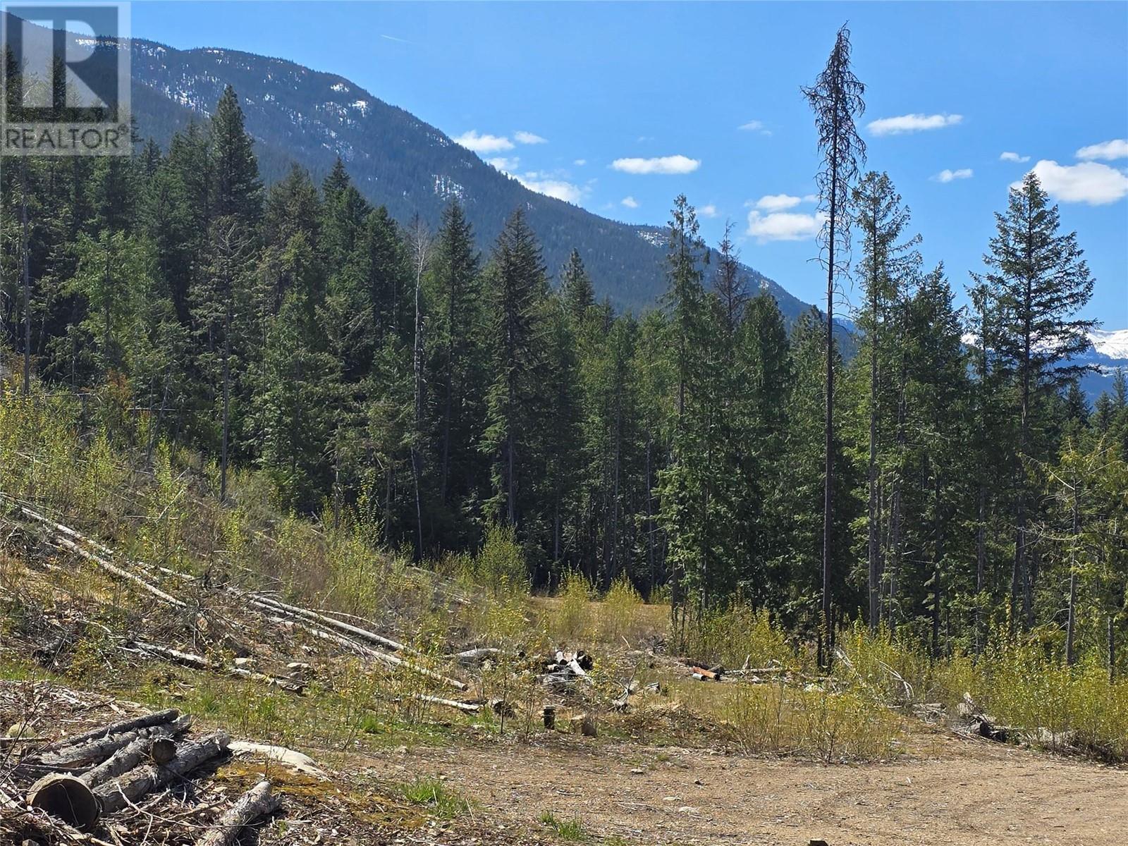 Photo 42 of 5396 6 Highway, Winlaw BC