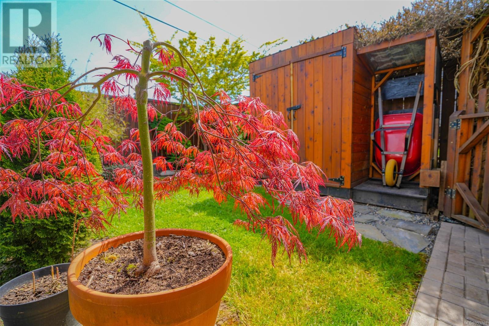 3657 12th Ave, Port Alberni real estate listing 993711