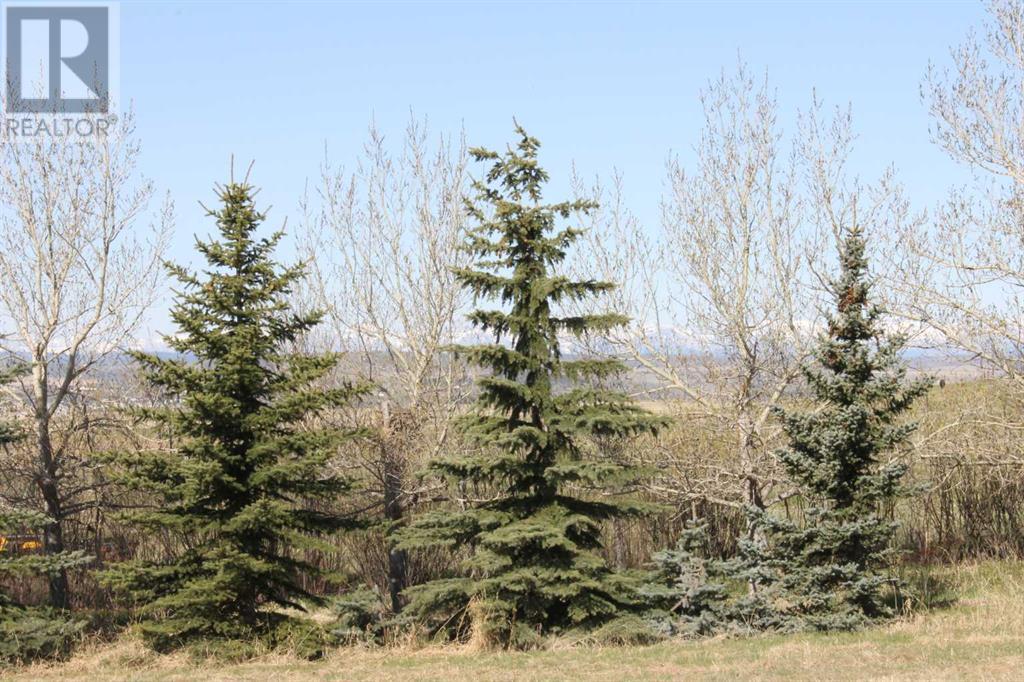 Photo 8 of 255073 Glenbow Road, Rural Rocky View County AB