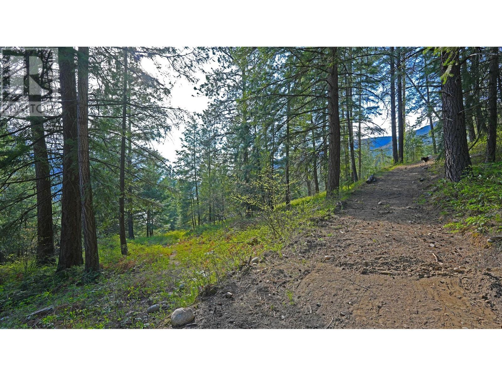 3600 Borrow Pit road Road, Robson