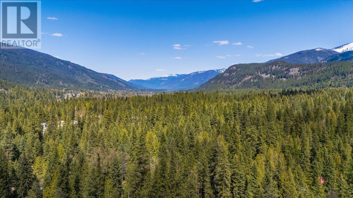 Photo 41 of 5626 Ducksway Road, Winlaw BC
