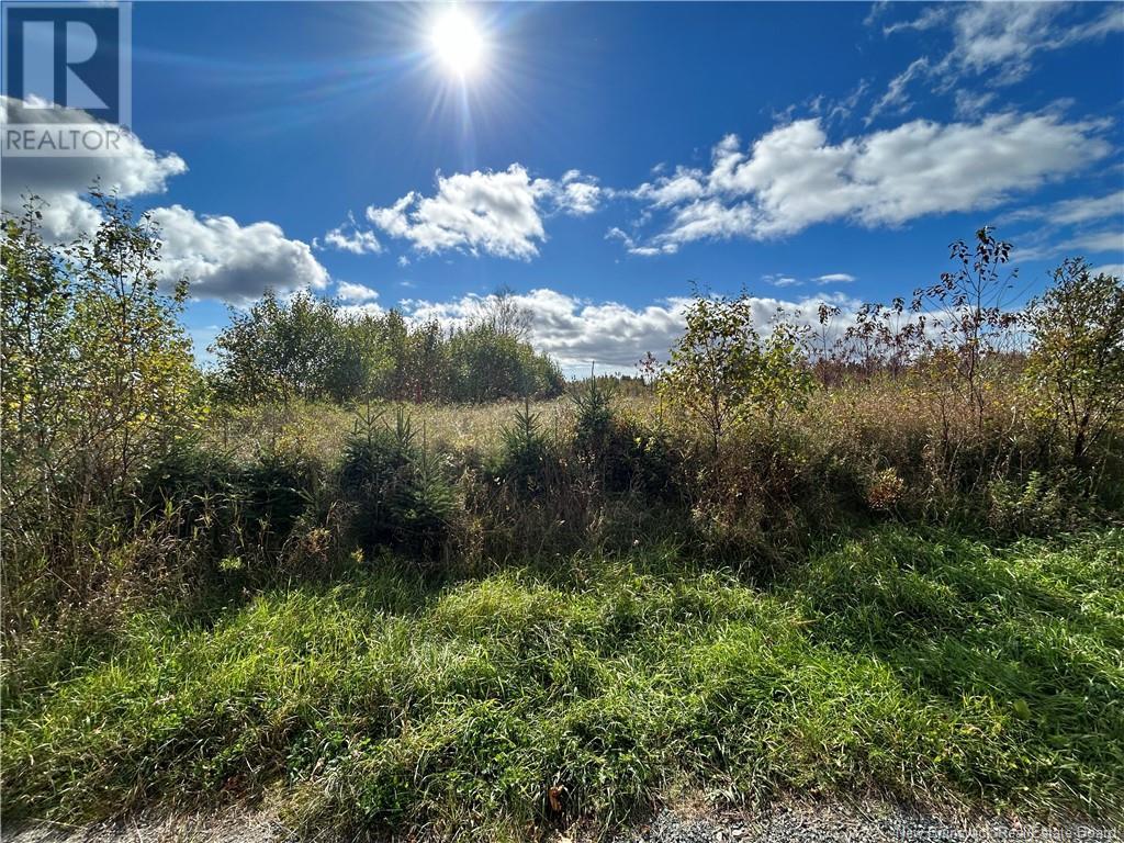 Photo 7 of Lot Savoie, Saintsimon NB