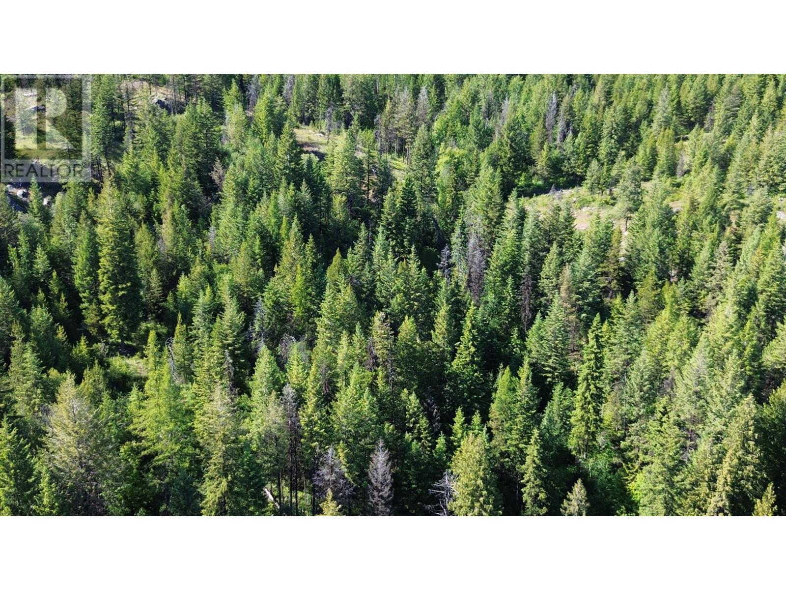Lot 1826S MORRISSEY CREEK Road, Grand Forks