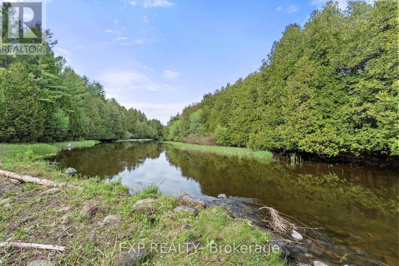 Photo 15 of 255 Victoria Road, Georgina ON