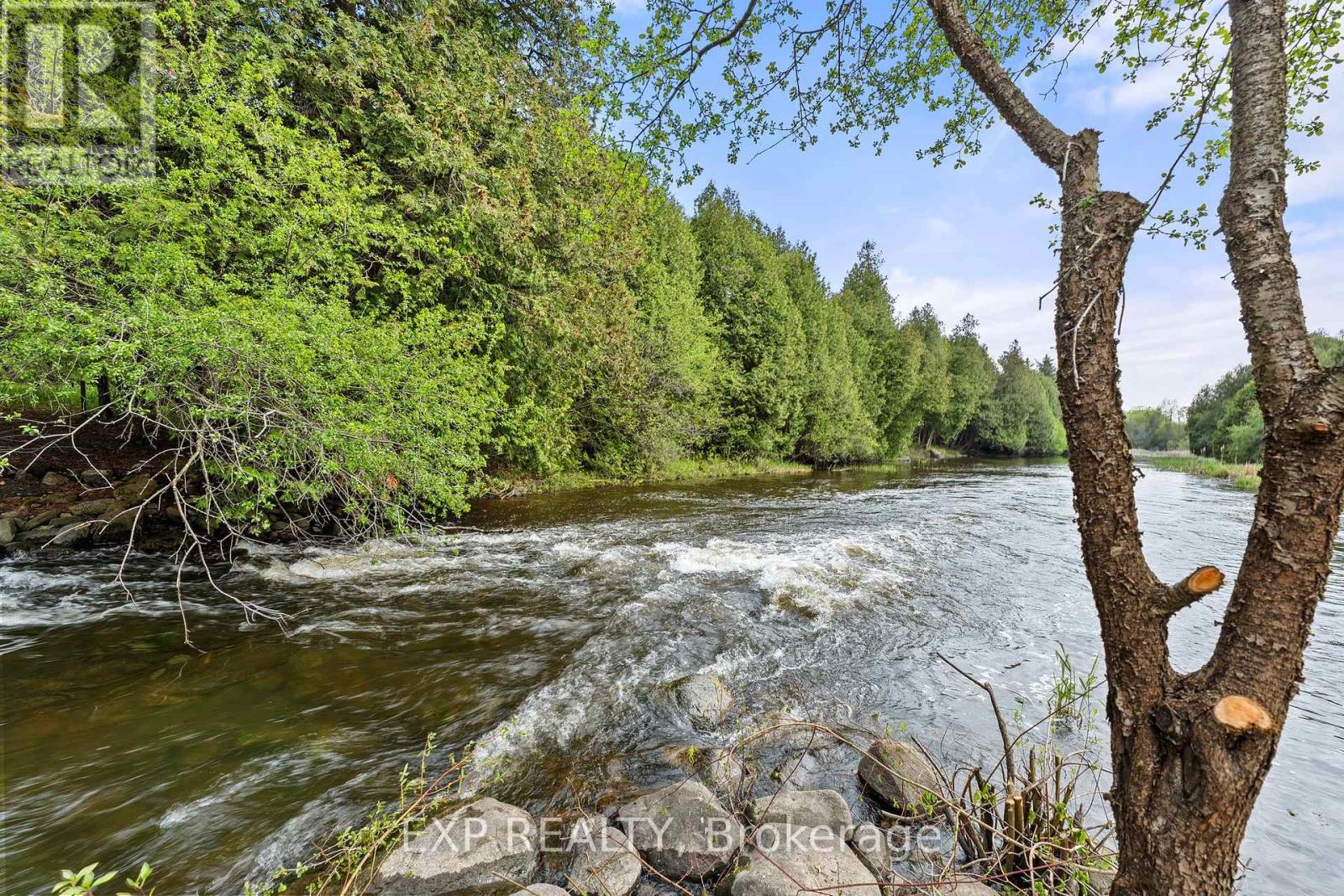 Photo 35 of 255 Victoria Road, Georgina ON