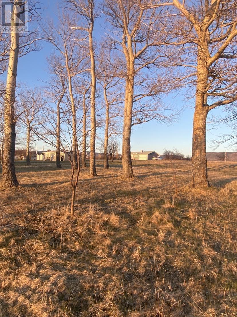 Property 3 of 8 of Lot 5 Cabot Trail