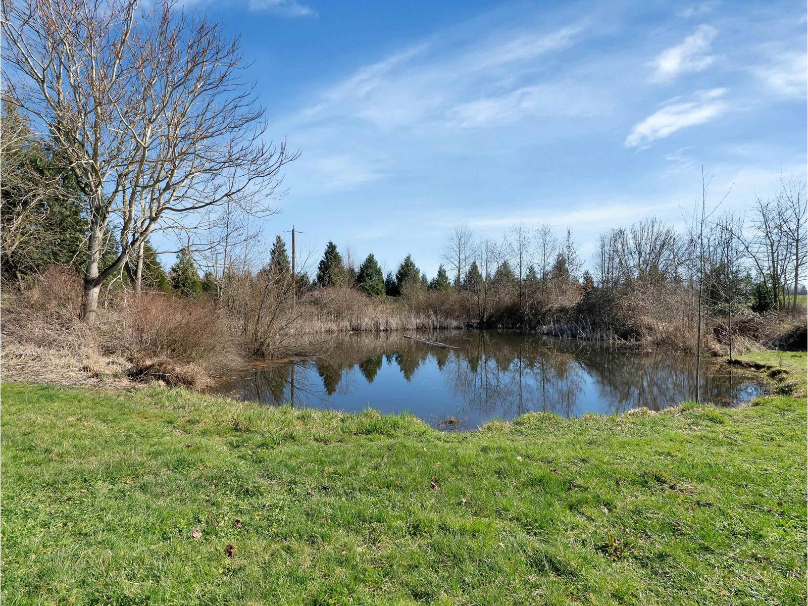Photo 8 of 27550 48 Avenue, Langley BC