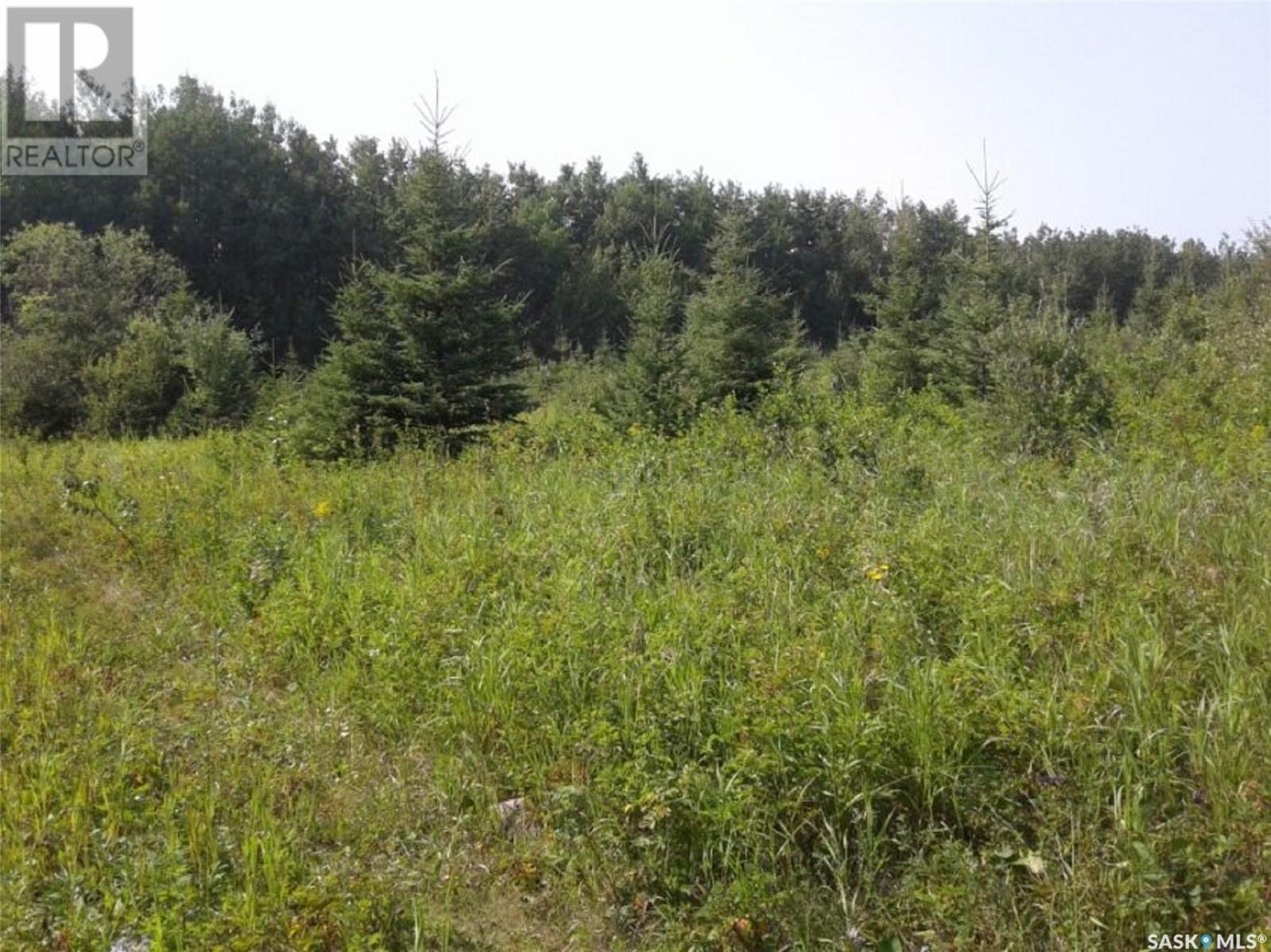 Photo 5 of Pt Nw 27 53 19 3 Mervin Rm No 499 Turtle Lake, Mervin Rm No 499 SK