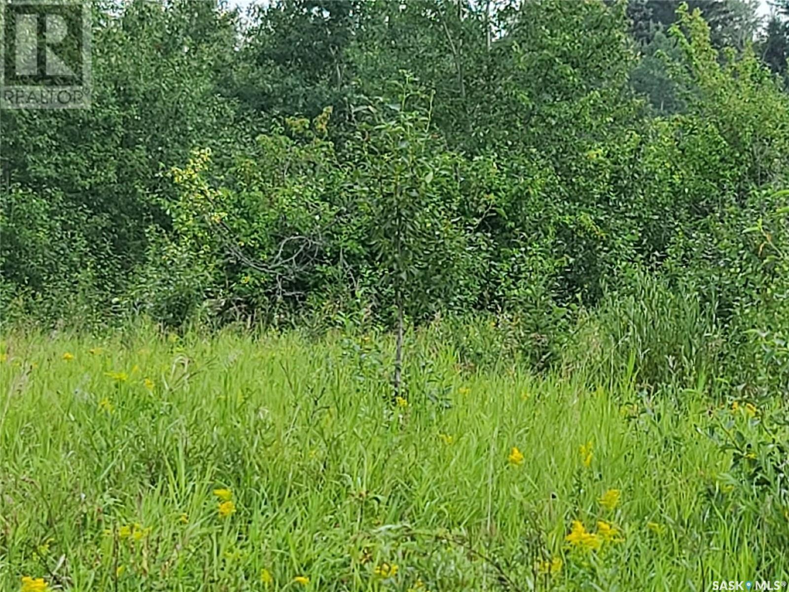Photo 1 of Pt Nw 27 53 19 3 Mervin Rm No 499 Turtle Lake, Mervin Rm No 499 SK