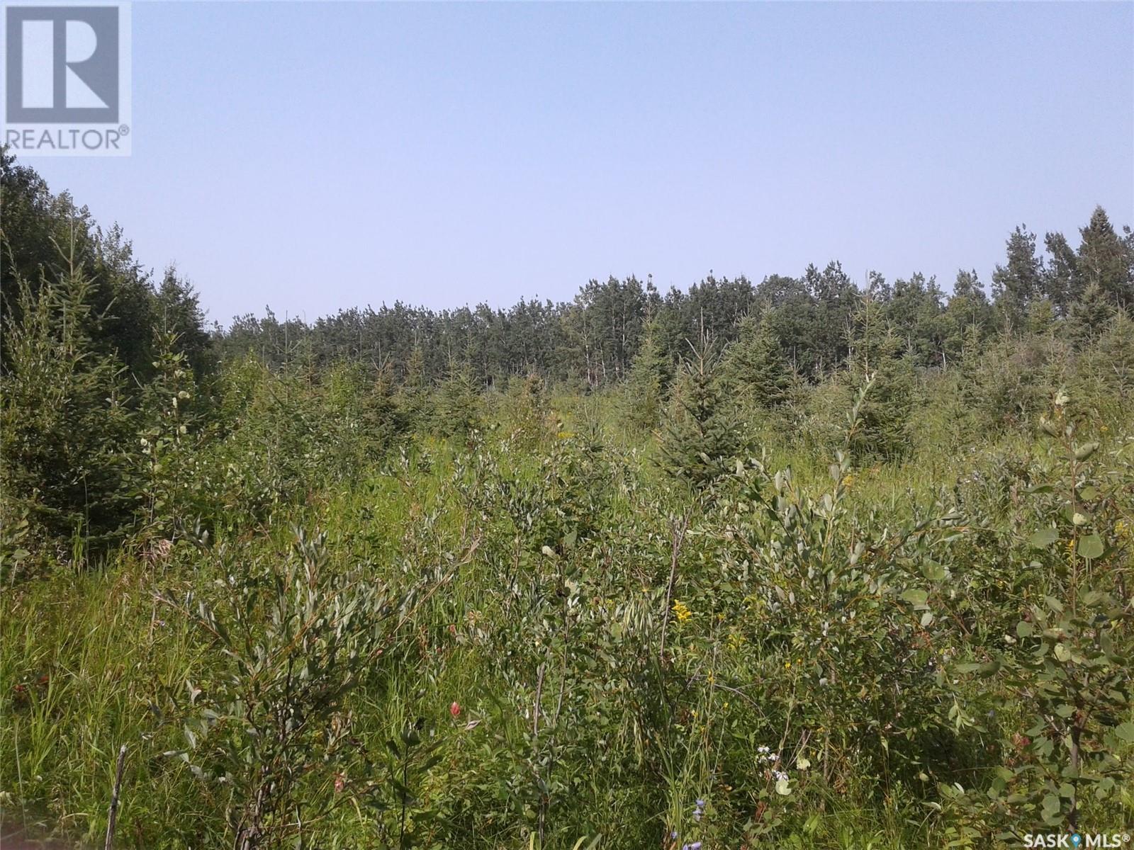 Photo 6 of Pt Nw 27 53 19 3 Mervin Rm No 499 Turtle Lake, Mervin Rm No 499 SK