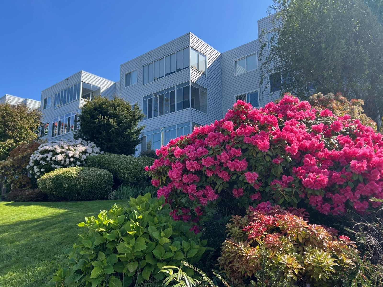 303 1354 WINTER STREET, White Rock