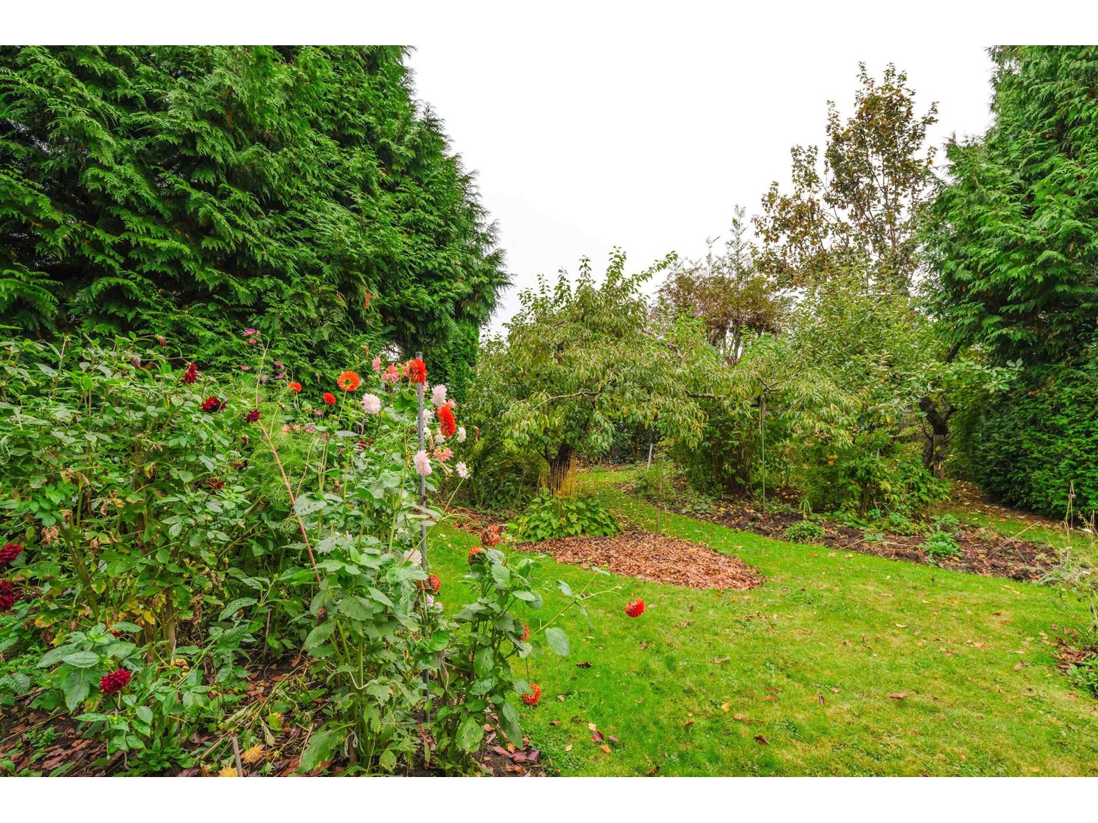 1320 KENT STREET, White Rock