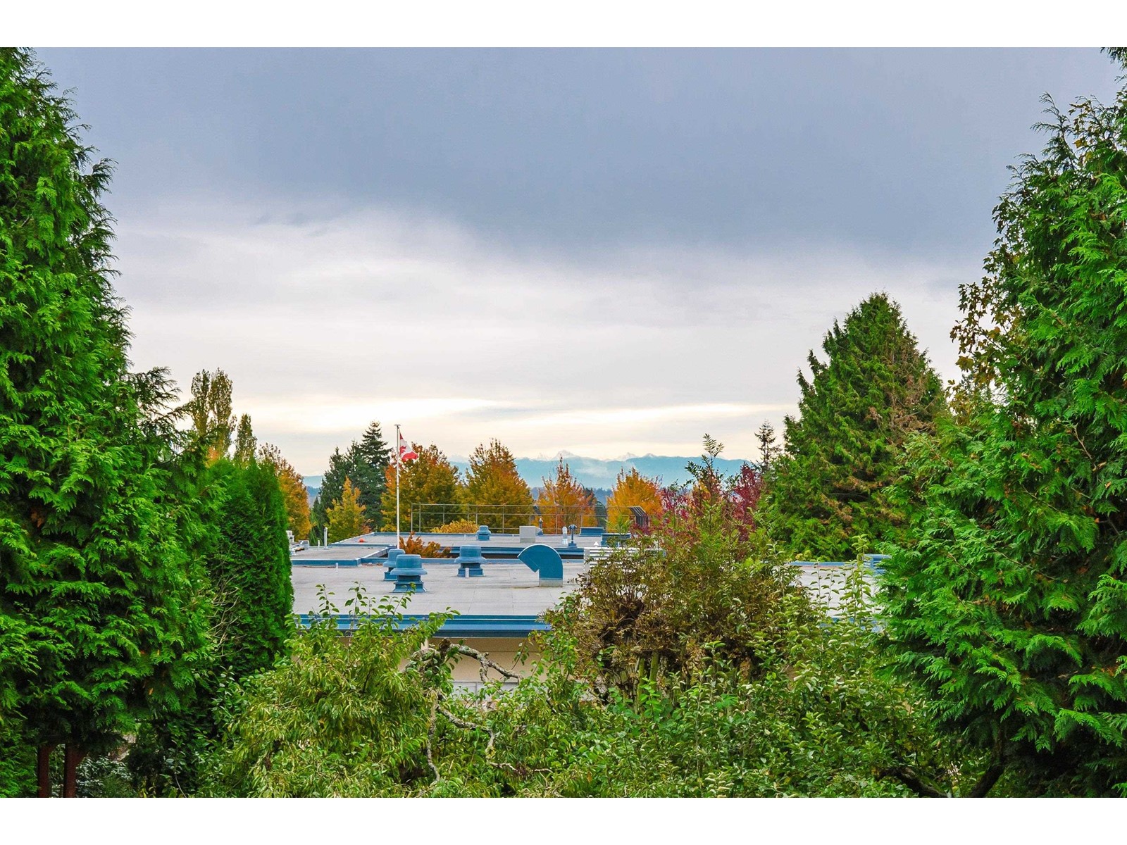 1320 KENT STREET, White Rock real estate listing R2996746
