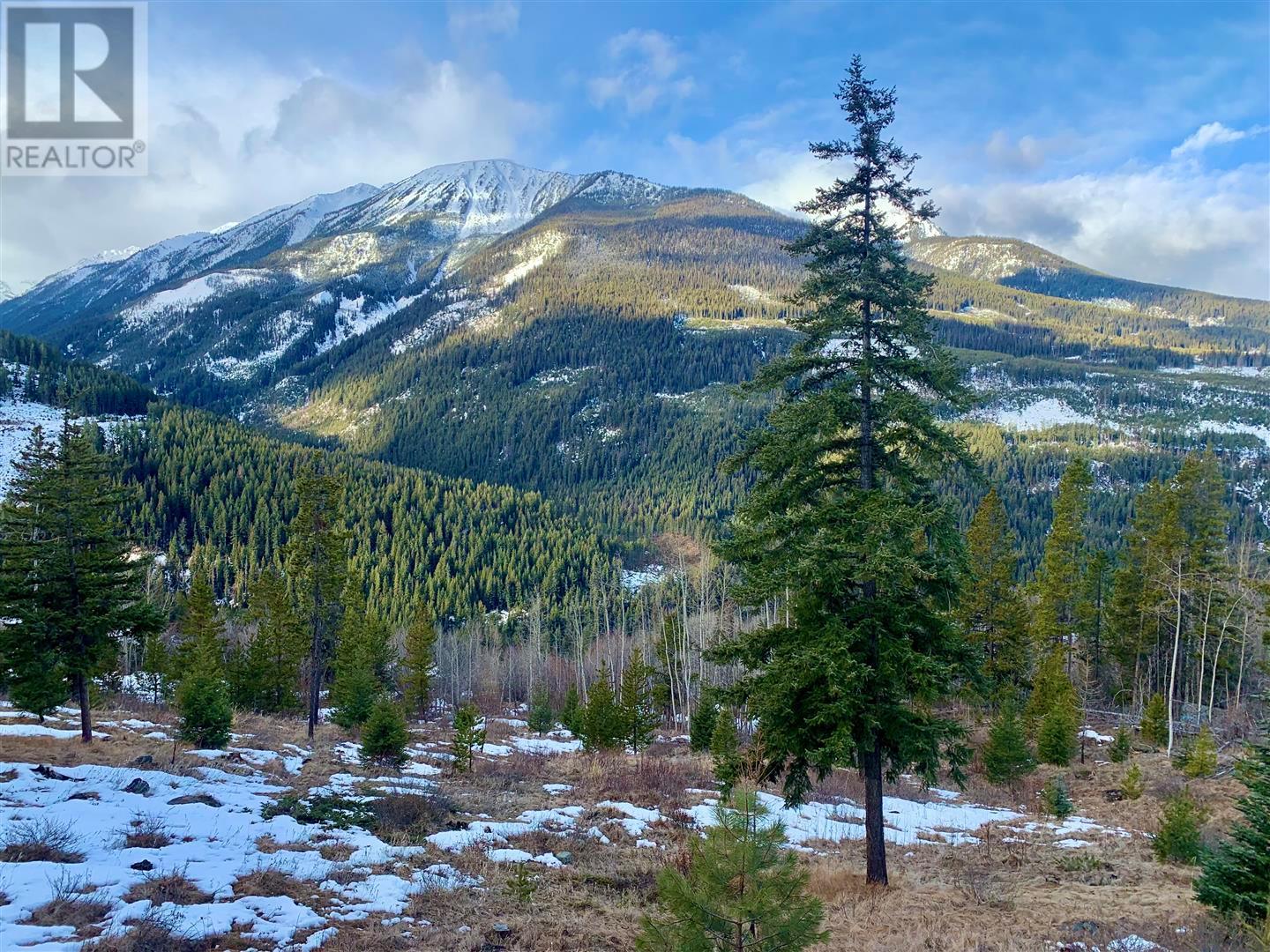 753 EAGLERIDGE DRIVE - 22