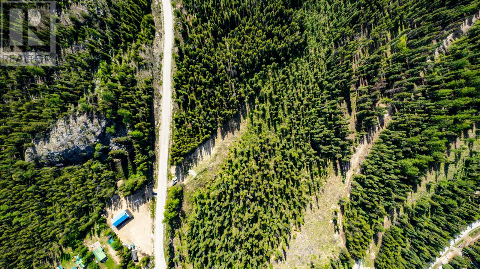 9280 Paradise Road, Joe Rich