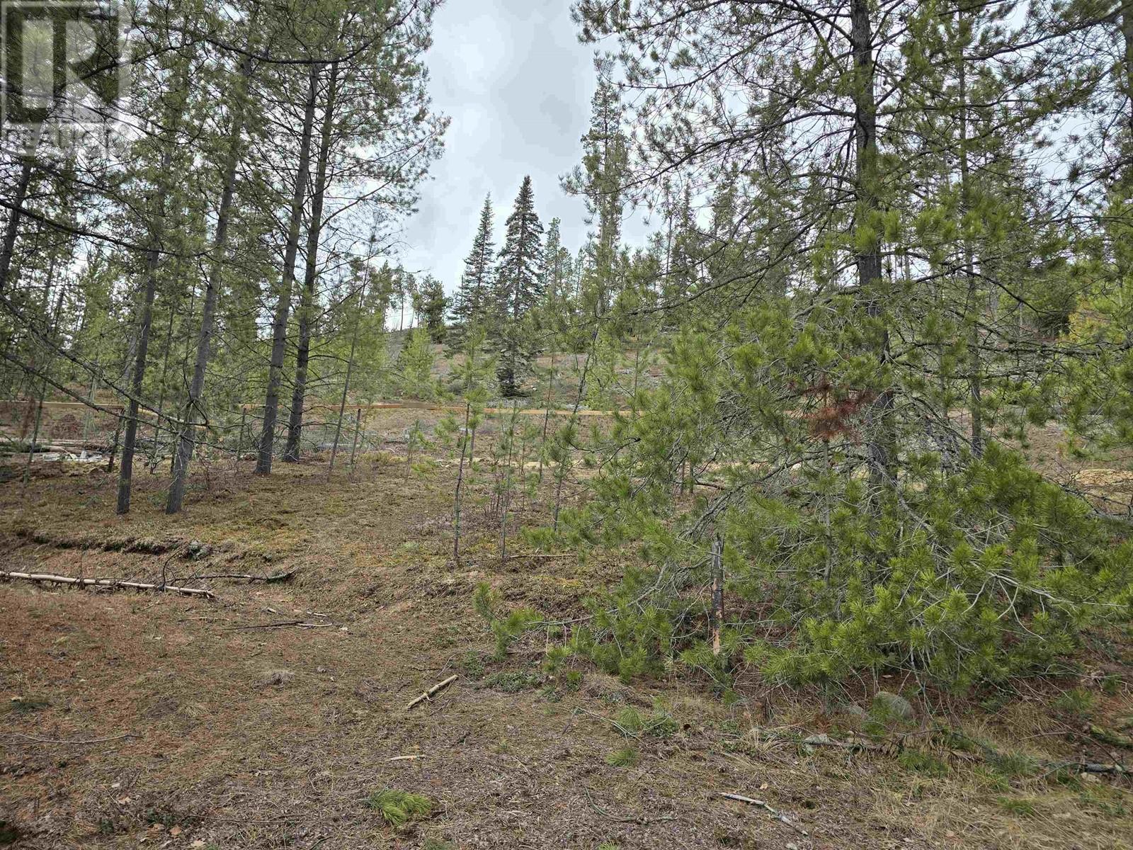 5925 WHISKEYFILL ROAD, Valemount