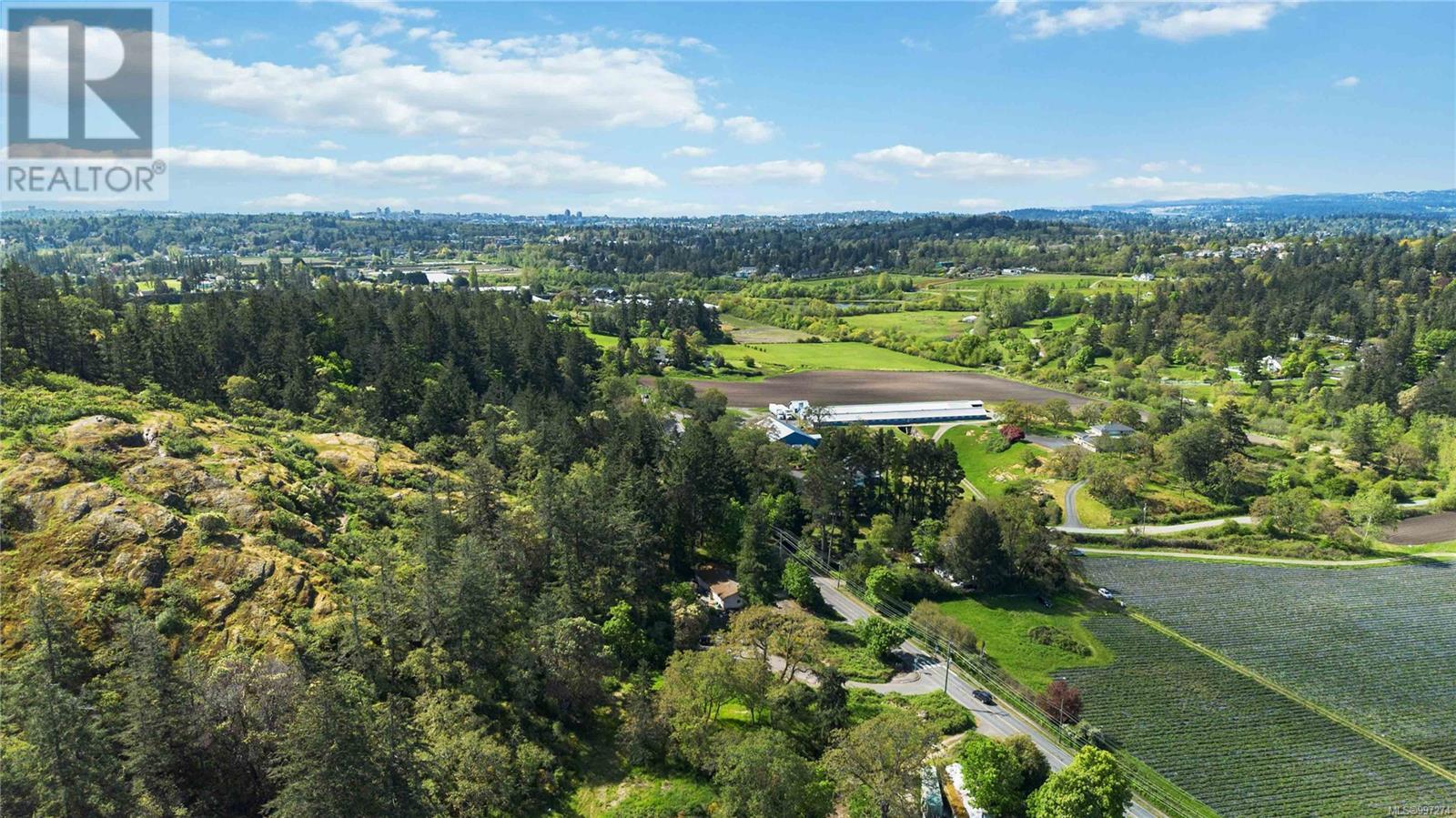 4439 Blenkinsop Rd - 13