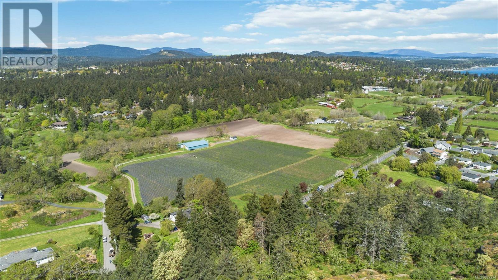 4439 Blenkinsop Rd - 14