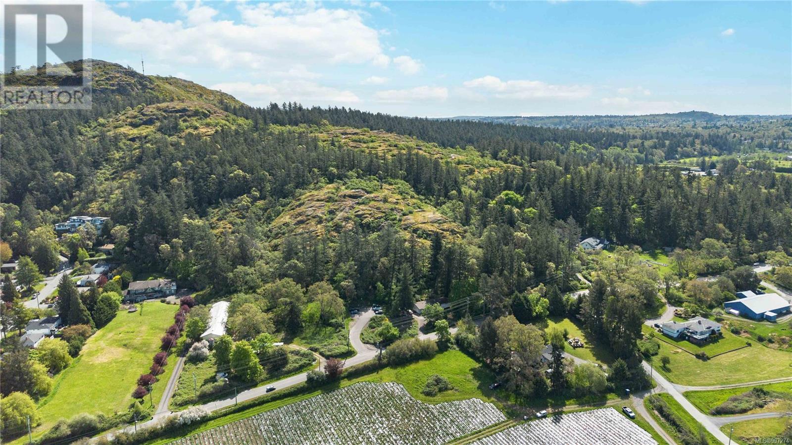 4439 Blenkinsop Rd - 6