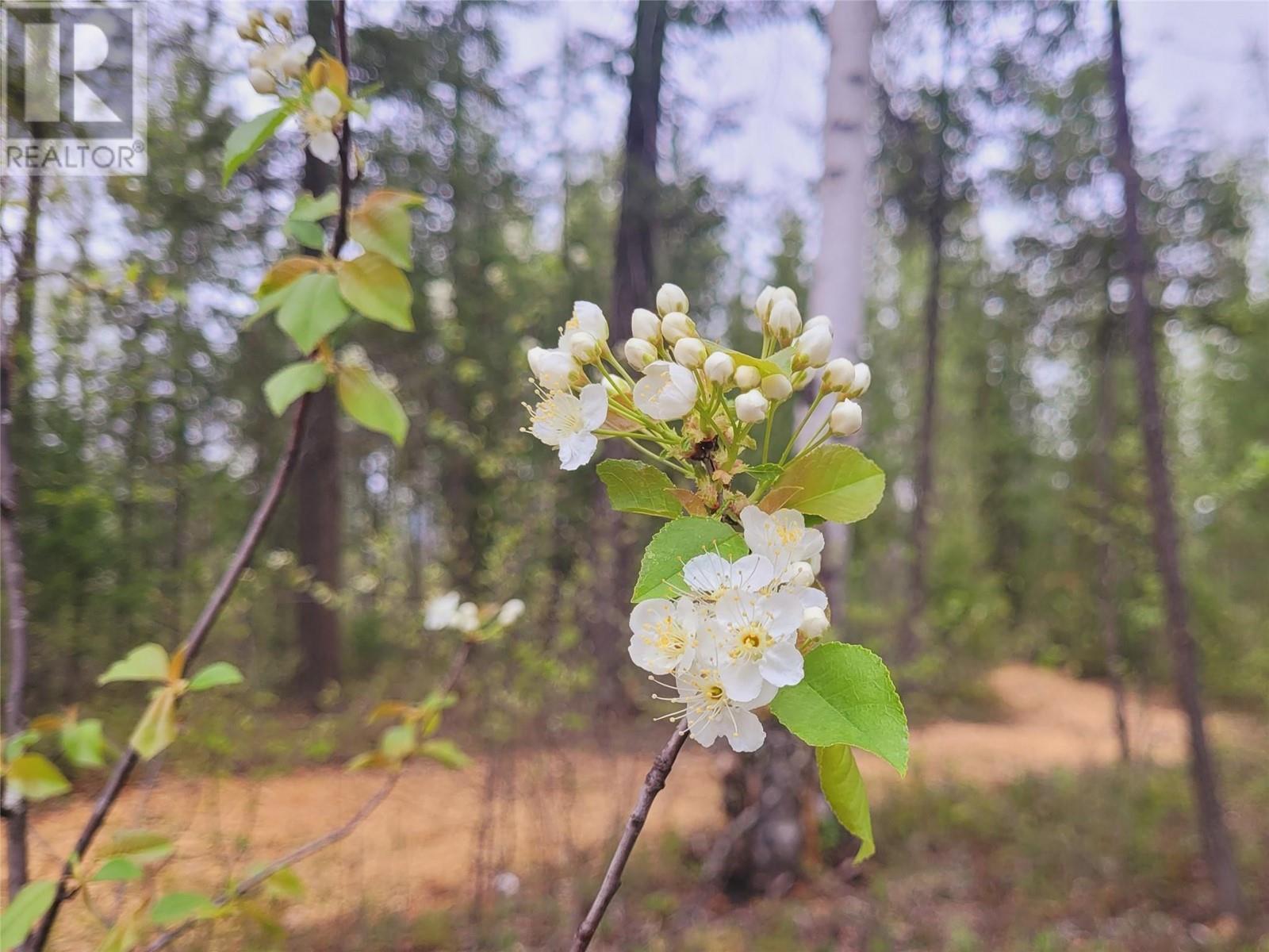 63 Glen Eddy Court, Clearwater