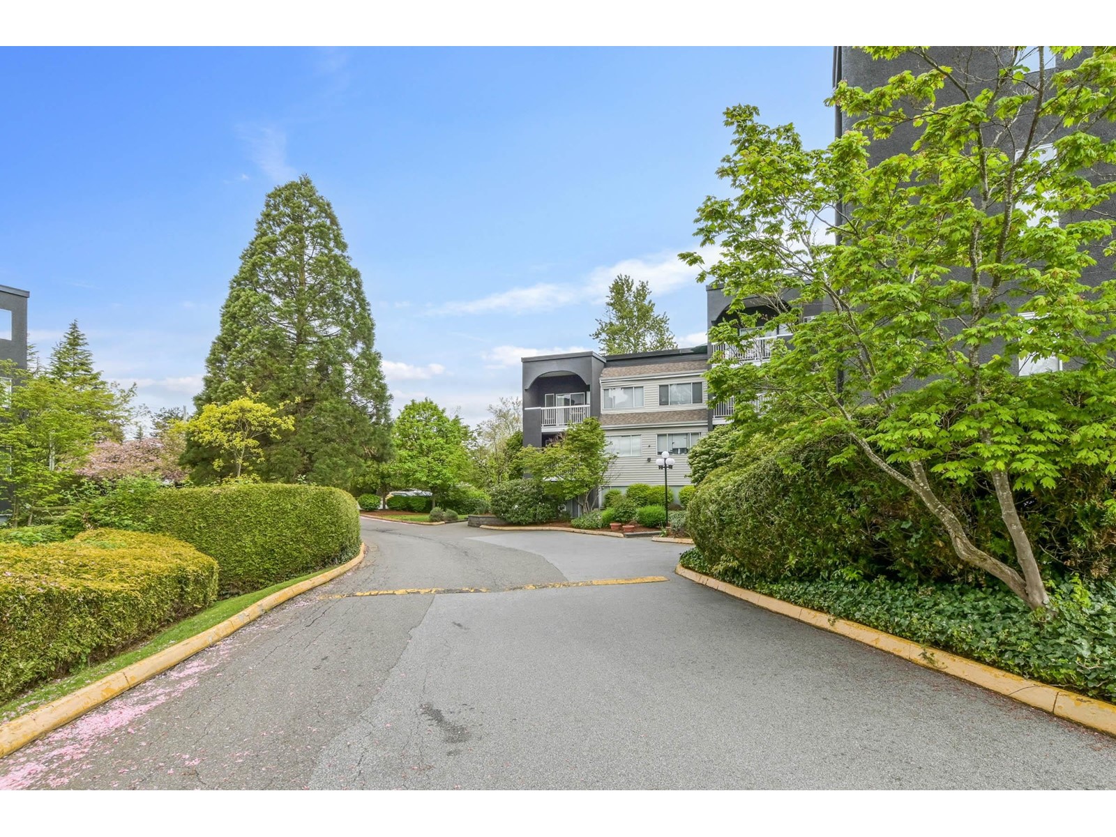 Photo 23 of 208 5700 200 Street, Langley BC