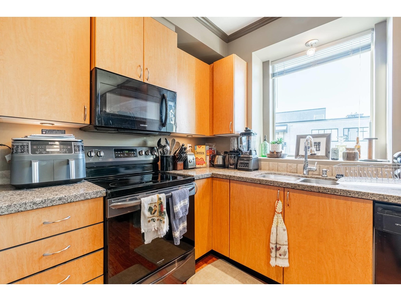 312 33485 SOUTH FRASER WAY, Abbotsford